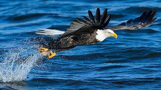 ������������ҵҲ����ȸ衢����Ͱ������ȿ����Ȼ�����