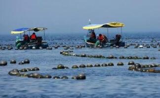 ���ӵ�����ӵ�:�ȱ�������ԭ���ʱ����Ȼ������