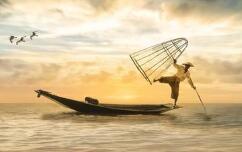 �㶫���ӿ�ɴ��������������豸�з�