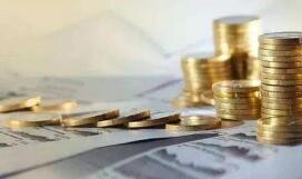 ��ʱ���أ�������й����ձ��Ŀɳ�����չͶ�ʷ������Ƿ�Χ