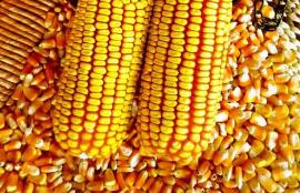 �����߿�����ͣ�����е���ת���򿹳����ס�˫��12-5����ҵ���о���Ŀ��