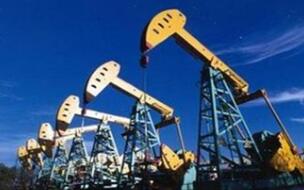 ����ɭ����2019�꾻��Ԥ��3.3����3.9��Ԫ