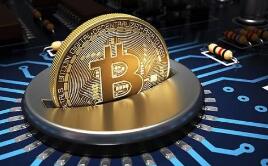 2019꾻ͬ9.5%